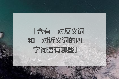 含有一对反义词和一对近义词的四字词语有哪些
