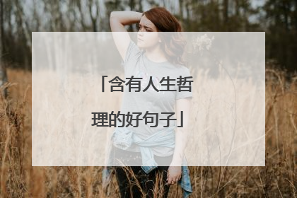 含有人生哲理的好句子