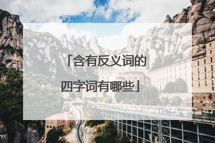 含有反义词的四字词有哪些