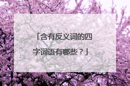 含有反义词的四字词语有哪些?