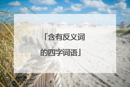 含有反义词的四字词语