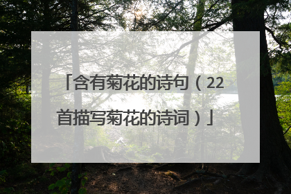 含有菊花的诗句(22首描写菊花的诗词)