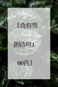含有雪的诗句100首