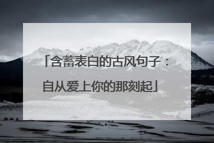 含蓄表白的古风句子:自从爱上你的那刻起