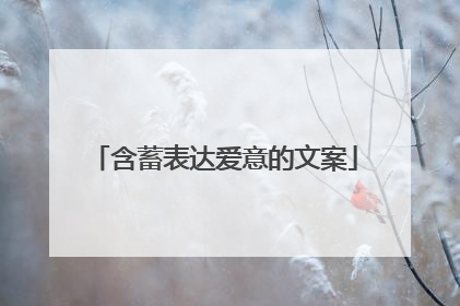 含蓄表达爱意的文案