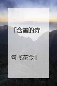 含雪的诗句飞花令