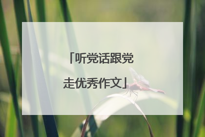 听党话跟党走优秀作文