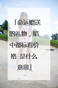 命运赠送的礼物，暗中都标着价格 是什么意思