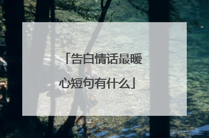 告白情话最暖心短句有什么