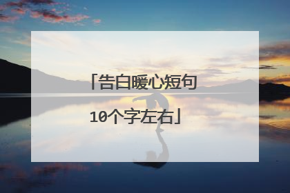 告白暖心短句10个字左右