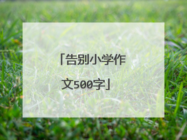 告别小学作文500字