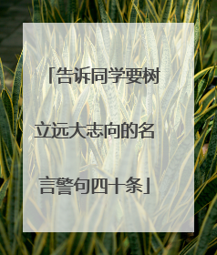 告诉同学要树立远大志向的名言警句四十条