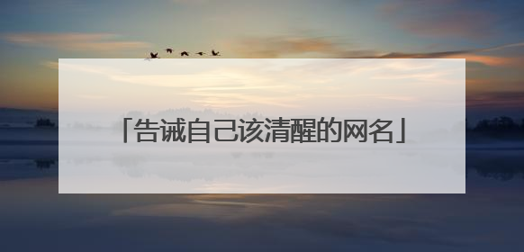 告诫自己该清醒的网名
