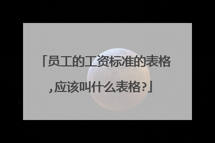 员工的工资标准的表格,应该叫什么表格?
