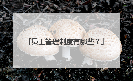 员工管理制度有哪些？