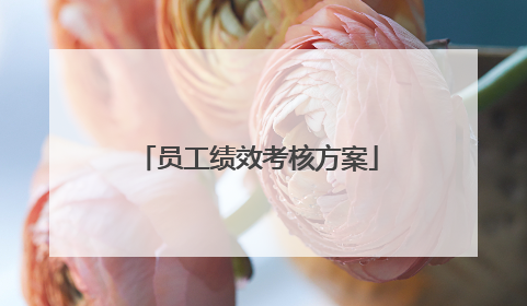 员工绩效考核方案