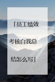 员工绩效考核自我总结怎么写