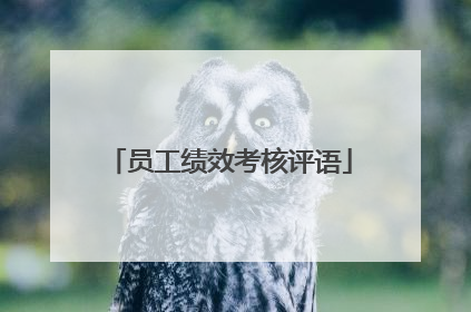 员工绩效考核评语
