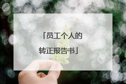 员工个人的转正报告书