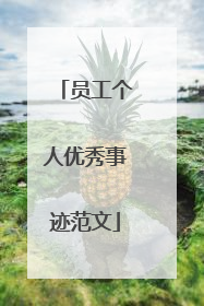 员工个人优秀事迹范文