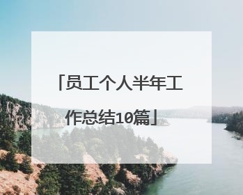 员工个人半年工作总结10篇