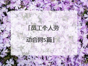 员工个人劳动合同5篇