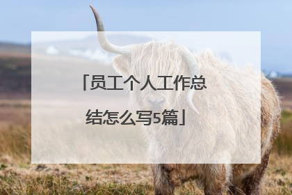 员工个人工作总结怎么写5篇
