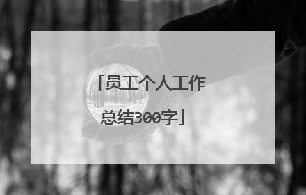 员工个人工作总结300字