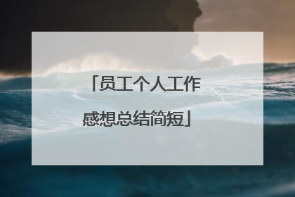 员工个人工作感想总结简短