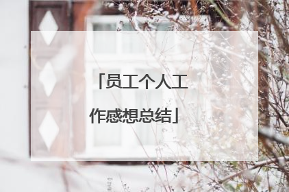 员工个人工作感想总结