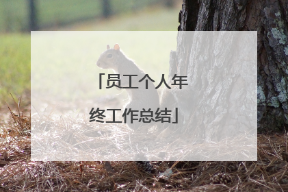 员工个人年终工作总结