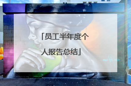 员工半年度个人报告总结