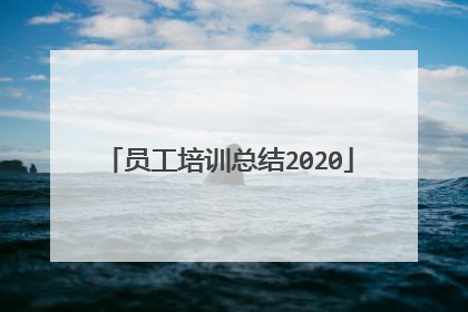 员工培训总结2020