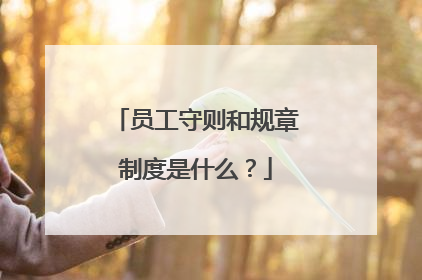 员工守则和规章制度是什么?