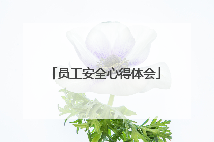 员工安全心得体会