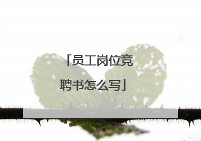 员工岗位竞聘书怎么写