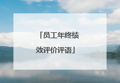 员工年终绩效评价评语