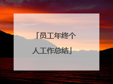 员工年终个人工作总结