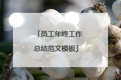员工年终工作总结范文模板