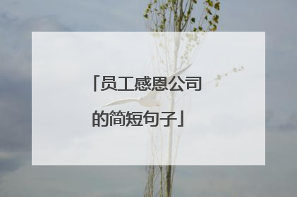 员工感恩公司的简短句子