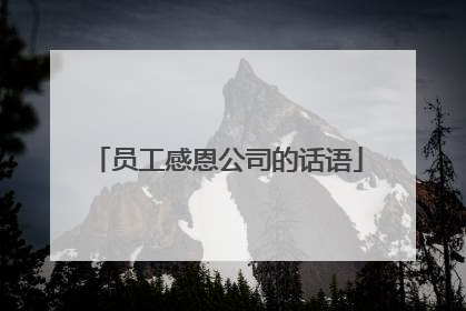 员工感恩公司的话语