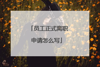 员工正式离职申请怎么写