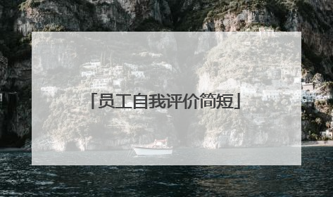 员工自我评价简短