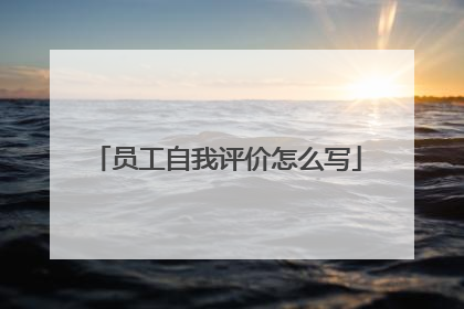 员工自我评价怎么写