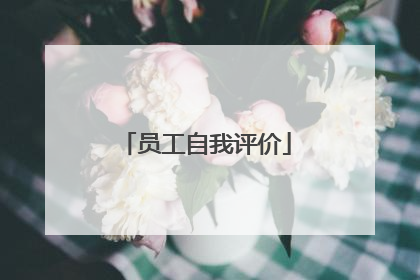 员工自我评价
