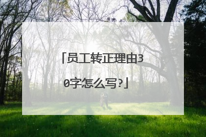 员工转正理由30字怎么写?