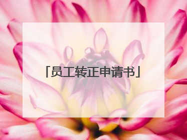 员工转正申请书