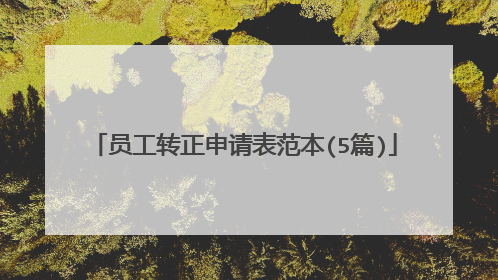 员工转正申请表范本(5篇)
