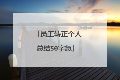 员工转正个人总结50字急