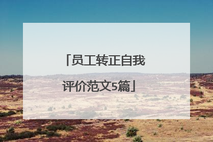 员工转正自我评价范文5篇